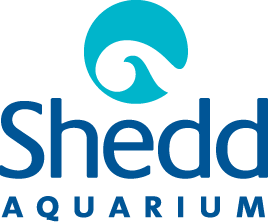 Shedd Aquarium