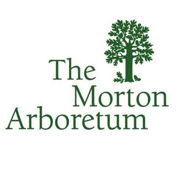 The Morton Arboretum