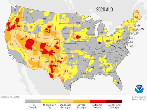 A map showing wildfires